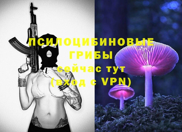 гидра Абаза