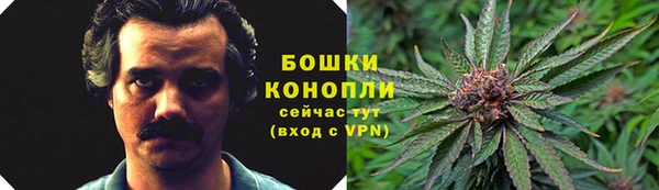 PSILOCYBIN Абдулино