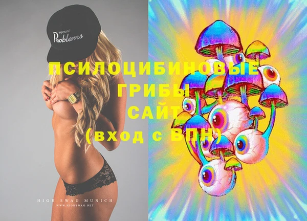 PSILOCYBIN Абдулино