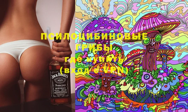эйфоретик Абинск