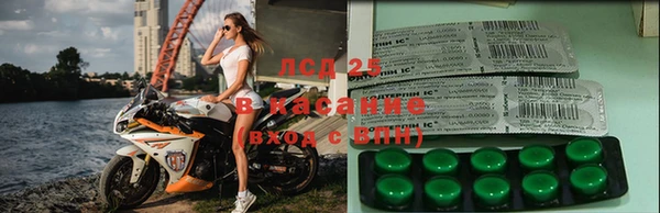 эйфоретик Абинск