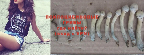 эйфоретик Абинск