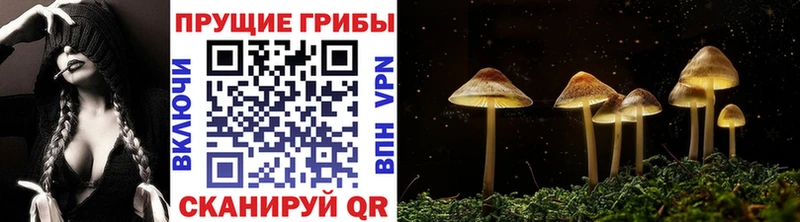 Галлюциногенные грибы мухоморы  Туран 