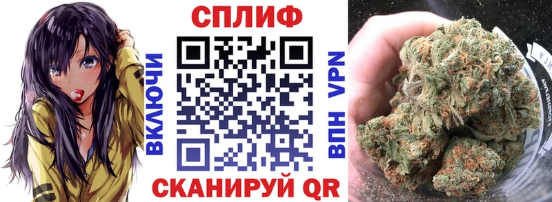 гидра как зайти  даркнет сайт  Туран  Бошки Шишки тримм 